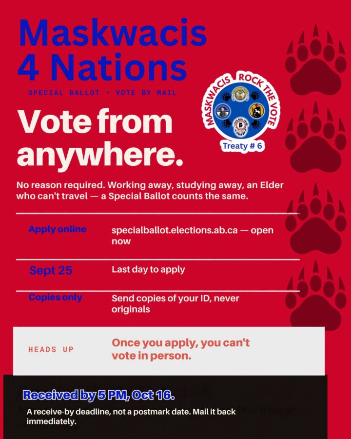 ROCK THE VOTE 2